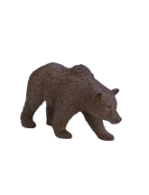 Grizzlybär