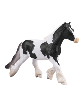 Irish Cob Stute