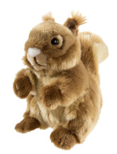 MISANIMO Eichhörnchen