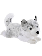 Winter Husky liegend
