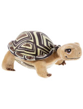 Schildkröte Henrietta S