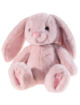Hase mit Schlappohren