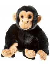MISANIMO Schimpanse