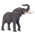 Afrikanischer Elefantenbulle