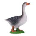 Gans grau
