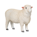 Romney-Widder