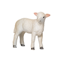 Romney-Lamm stehend