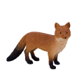 Rotfuchs