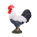 Hahn