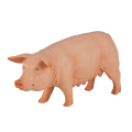 Schwein