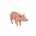 Ferkel