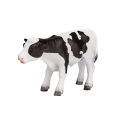 Holstein Kalb stehend