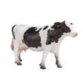 Holstein Kuh