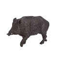 Wildschwein