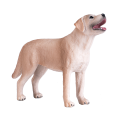 Labrador