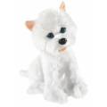 MISANIMO Westhighland Terrier