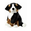 ALPENWELT Sennehund
