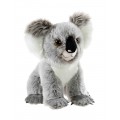 BEDROHTE TIERE Koala