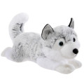 Winter Husky liegend