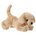 MISANIMO Golden Retriever