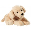 Golden Retriever (38 cm)
