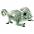 Chameleon "Caspar"