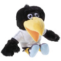 DFB Paule Plüschi Maskottchen