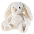 Hase mit Schlappohren
