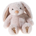 Hase mit Schlappohren