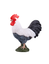 Coq