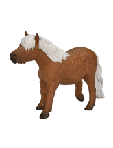 Poney Shetland