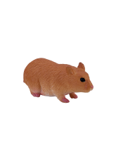 Hamster