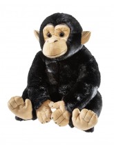 MISANIMO Chimpanzé XL
