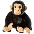MISANIMO Chimpanzé